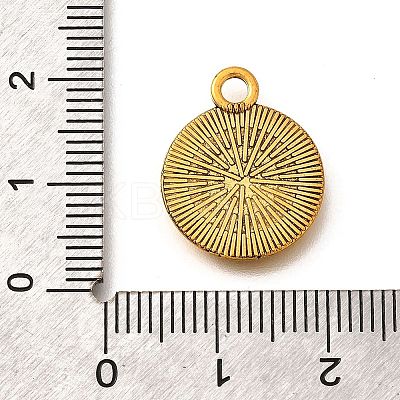 Tibetan Style Alloy Pendants PALLOY-D291-16AG-1