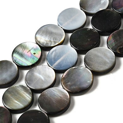 Natural Black Lip Shell Beads Strands BSHE-D300-05-14mm-1