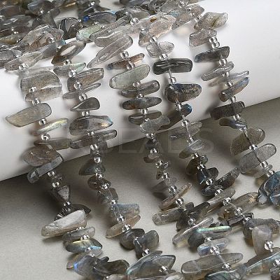 Natural Labradorite Beads Strands G-Z124-C01-01-1