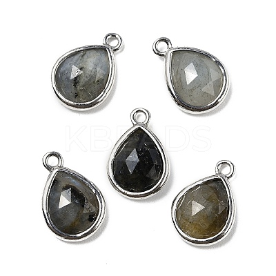 Natural Labradorite Faceted Pendants G-U019-05P-08-1