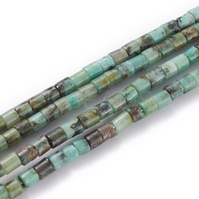 Natural African Turquoise(Jasper) Beads Strands G-H255-08-1
