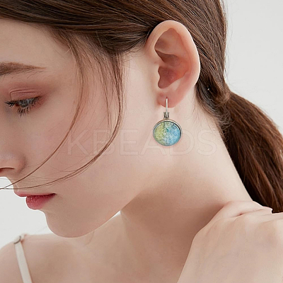 20Pcs 304 Stainless Steel Leverback Earring Findings STAS-LP0001-73-1