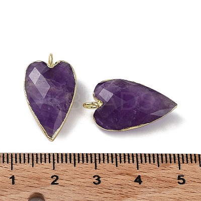 Natural Amethyst Pendants G-G012-12G-10-1