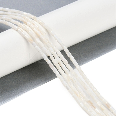 Natural Freshwater Shell Beads Strands BSHE-H109-17A-1