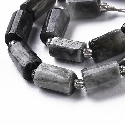 Natural Hawk's Eye Beads Strands G-S345-8x11-009-1