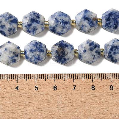 Natural Blue Spot Jasper Beads Strands G-H344-B02-01-1