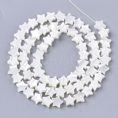 Natural Trochid Shell/Trochus Shell Beads Strands SHEL-T013-007A-01-1