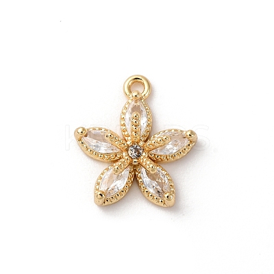 Brass Micro Pave Cubic Zirconia Charms LS-KK-D371-04F-G-1