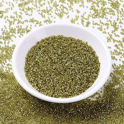 MIYUKI Delica Beads SEED-X0054-DB2164-1