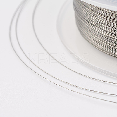 Tiger Tail Wire TWIR-E001-0.3mm-1