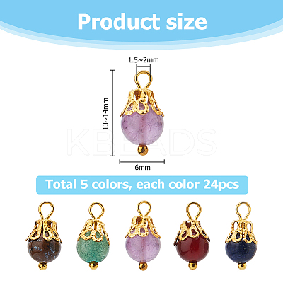 120Pcs Natural Mixed Gemstone Round Charms G-HS0001-06-1