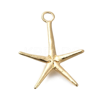 Rack Plating Brass Pendant KK-M079-11G-1