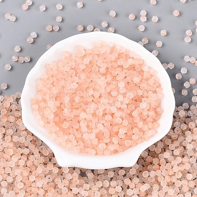 Frosted Glass Seed Beads SEED-N012-01G-1