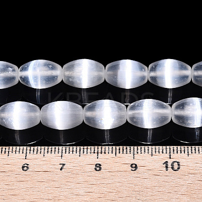 Dyed Natural Selenite Beads Strands G-T138-233A-1