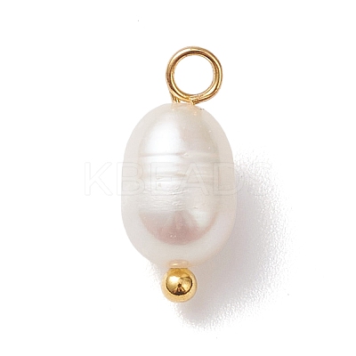 Natural Cultured Freshwater Pearl Rice Charms PALLOY-JF04643-01-1