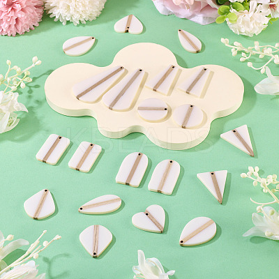 20Pcs 10 Styles Opaque Resin & Wood Pendants Sets RESI-TA0004-63B-1