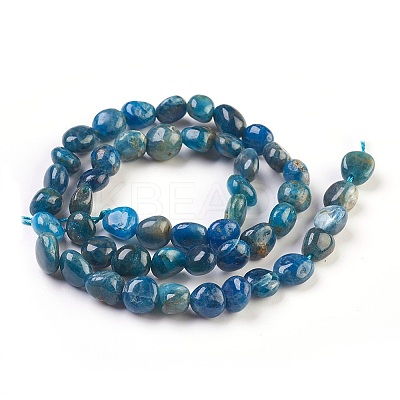Natural Apatite Beads Strands X-G-F575-07-1