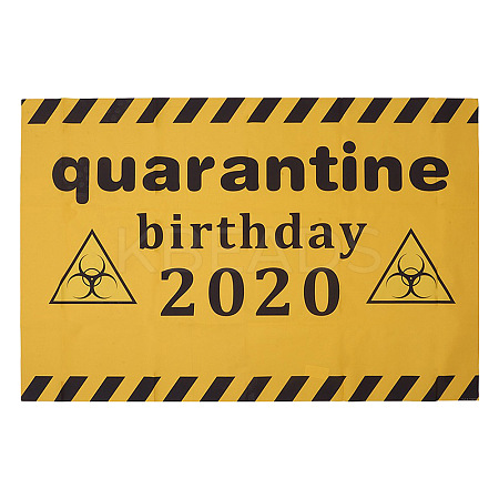 2020 Quarantine Birthday Decorations AJEW-GF0001-64A-1