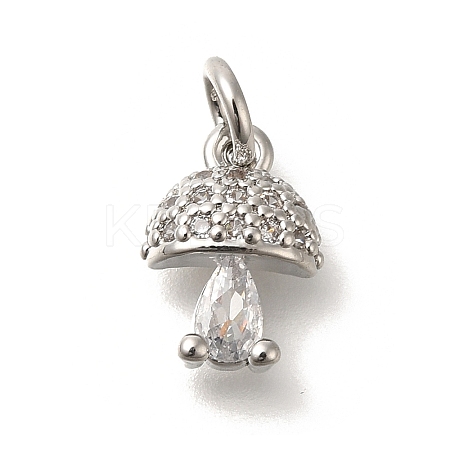 Brass Micro Pave Cubic Zirconia Charms KK-M295-21P-1