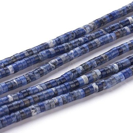 Natural Sodalite Beads Strands G-H230-10-1
