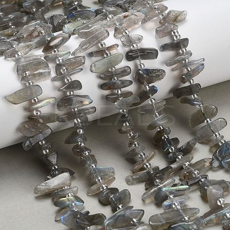 Natural Labradorite Beads Strands G-Z124-C01-01-1