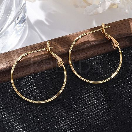 Brass Hoop Earrings EJEW-R014-17A-G-1