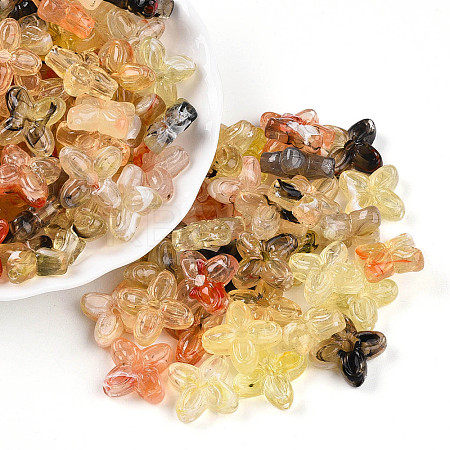 Transparent Acrylic Beads TACR-T028-35H-1