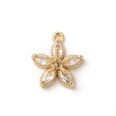 Brass Micro Pave Cubic Zirconia Charms LS-KK-D371-04F-G-1