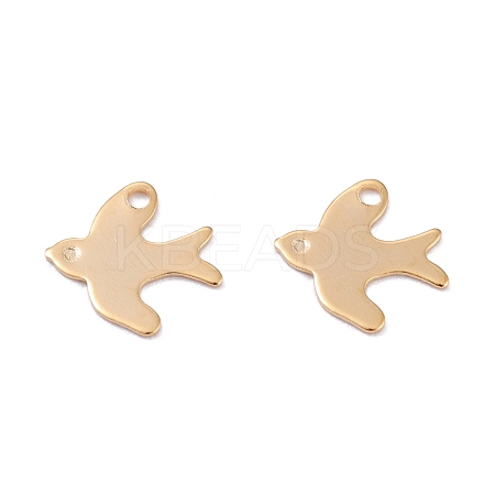201 Stainless Steel Charms STAS-B001-42G-1