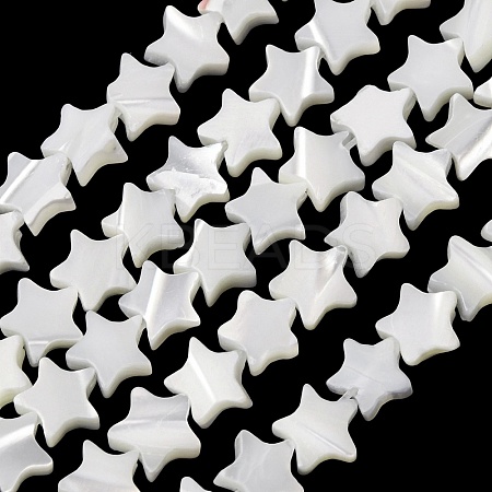 Natural Trochid Shell/Trochus Shell Beads Strands SH-CBA2978-17A-1