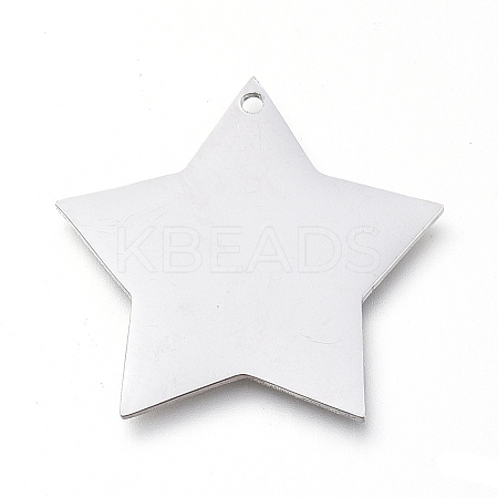 Tarnish Resistant 304 Stainless Steel Pendants LS-STAS-L238-108B-P-1