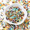 Glass Round Bugle Beads SEED-XCP0001-46-2