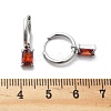 304 Stainless Steel Micro Pave Cubic Zirconia Hoop Earrings STAS-R004-06P-01-5