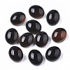 Translucent Glass Cabochons GLAA-T023-02C-3