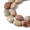 Natural Aqua Terra Jasper Beads Strands G-L624-E03-14x10mm-4