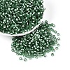 Silver Lined Glass Seed Beads SEED-T007-18A-06-1