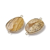 Natural Picture Jasper Connector Charms G-C110-02E-KCG-2