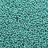 TOHO 11/0 Round Beads X-SEED-TR11-0413-2