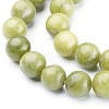 Natural Taiwan Jade Beads Strands X-GSR032-3