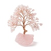 Natural Rose Quartz Tree Display Decoration DJEW-G027-08RG-03-2