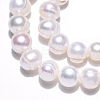 Natural Cultured Freshwater Pearl Beads Strands PEAR-N013-09C-5