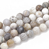 Natural Bamboo Leaf Agate Beads Strands G-T106-028-1