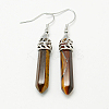 Fashion Natural & Synthetic Gemstone Dangle Earrings EJEW-G073-M-2