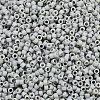MIYUKI Delica Beads SEED-MY11-DB2281-2