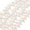 Natural Cultured Freshwater Pearl Beads Strands PEAR-J007-65-1