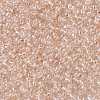 TOHO Round Seed Beads SEED-JPTR15-0169-2