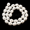 Electroplated Shell Pearl Beads Strands BSHE-B008-04-2
