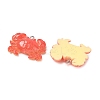 Resin Pendants RESI-F060-01B-2