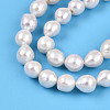 Natural Nucleated Pearl Keshi Pearl Beads Strands PEAR-S020-F12-3