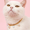 360Pcs 12 Colors Round Imitation Cat Eye Resin Beads OACR-TA0001-12-10